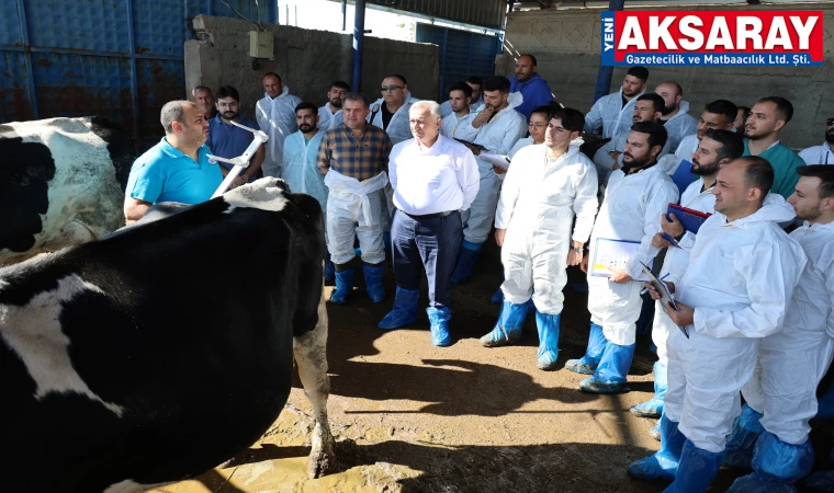 60 İLİN PERSONELİ AKSARAY’DA AĞIRLANDI İneklerin başında uygulamalı eğitim