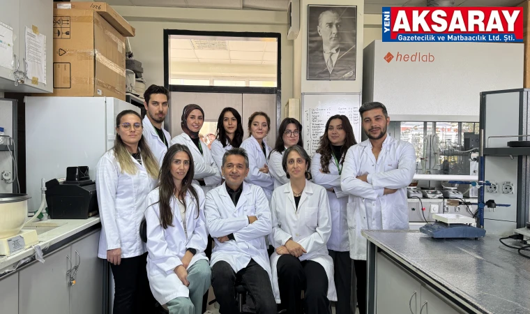 Antibiyotiğe dirençli bakterilere karşı nanomalzeme geliştirilecek