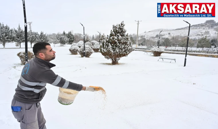 Kuşlara yem atıldı