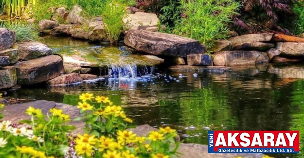 Doğal taşlı biyolojik gölet yaptırılacaktır