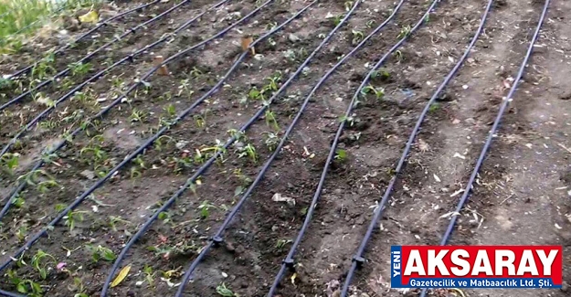 Otomatik ve damla sulama malzemeleri satın alınacak