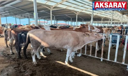 Aşılama oranı artarsa hayvan pazarları açılacak
