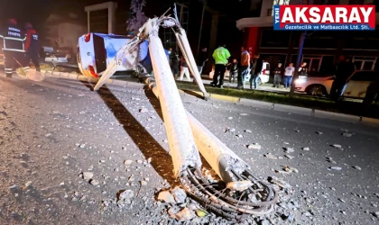 Kontrolden çıkan otomobil, direği ve ağacı devirdi