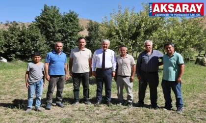 Elmacık Köyü’nde bal hasadı