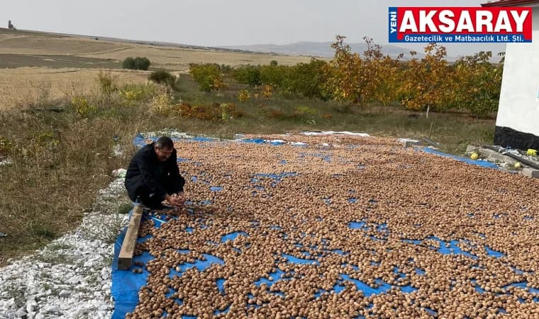 Cevizin kilosu 200 ile 250 lira arasında satılıyor