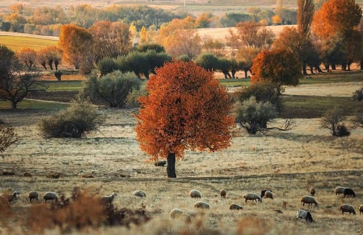 Aksaray’da sonbaharı güzelliği fotoğrafı 2