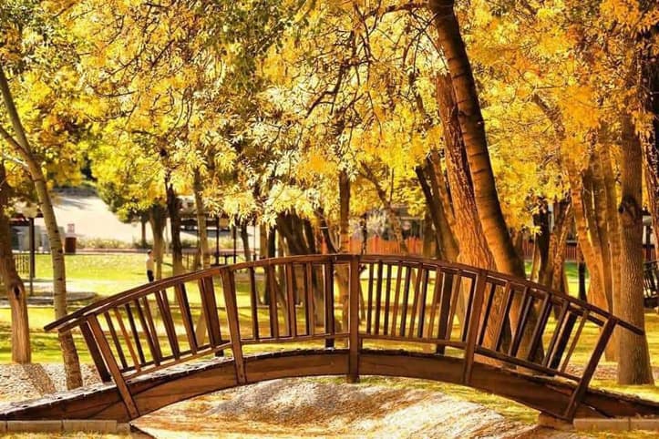 Aksaray’da sonbaharı güzelliği fotoğrafı 3