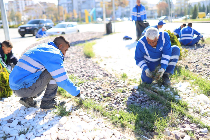 Şehir genelinde çiçeklendirme ve peyzaj mesaisi