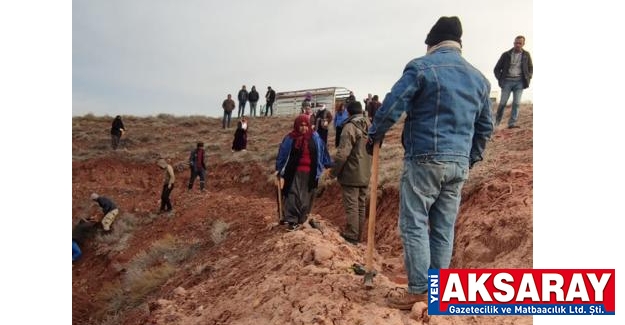 En büyük ağaçlandırma çalışması başladı