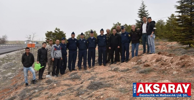 Ekecik sırtlarında Hava Radar komutanlığı bölgesi ağaçlandırıldı