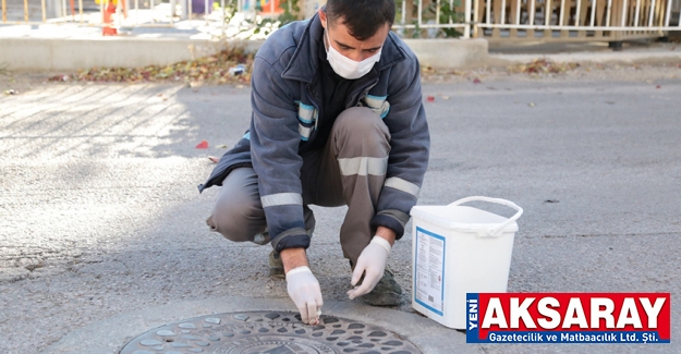 Haşere ve zararlılara karşı ilaçlama başlıyor