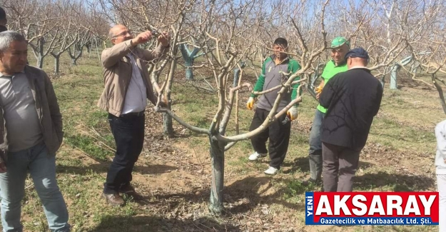 Tarla ve bahçelerde çalışma dönemi