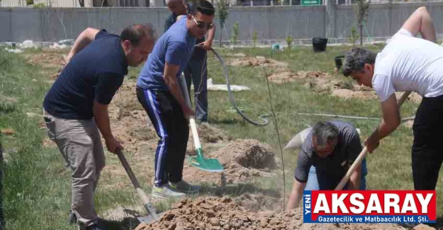 Adalet Sarayı yeşillendirildi