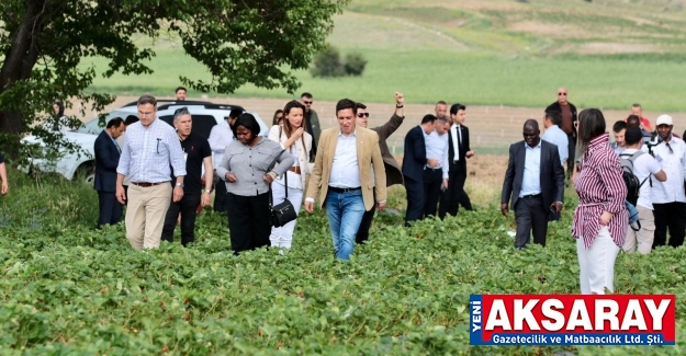 GUETAMALA BÜYÜKELÇİSİ JAİRO DAVİD ESTRADA; Büyükelçiliğimizi Aksaray’a taşımak isteriz