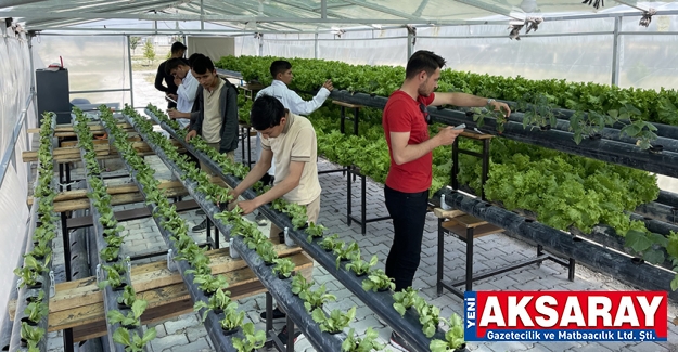 MESLEK LİSESİ ÖĞRENCİLERİ  Topraksız serada sebze meyve yetiştiriyorlar