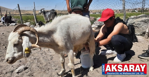 3 Gün köy hayatı yaşadılar