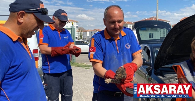 Araçta sıkışan kedi kurtarıldı