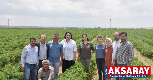 Eskil topraklarından bereket fışkırıyor