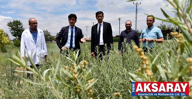 ​KOP DESTEKLERİ İNCELENİYOR Et ve Süt üretimi için ot sorununu ortadan kaldırmalıyız