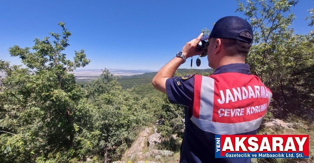 Orman yangınlarına karşı jandarma devriye geziyor             