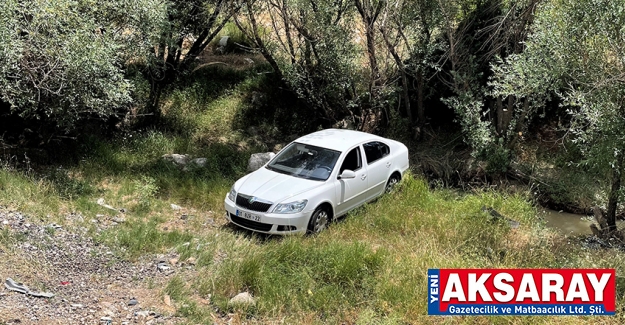 Sürücüyü arı soktu, araç şarampole yuvarlandı 4 YARALI