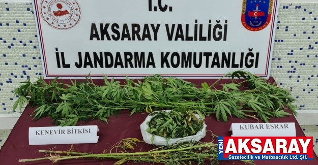 Kubar esrarla yakalandı