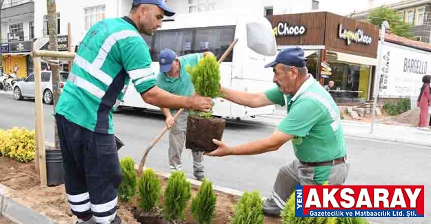 Park ve yeşil alanlara 30 farklı ağaç türü dikiliyor