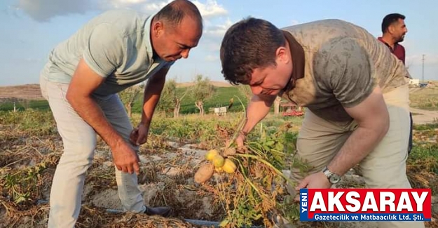 Patatesin fiyatından memnunuz dediler