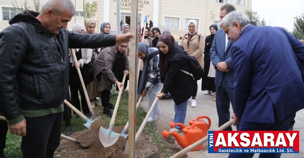 Ağaçlandırmaya devam