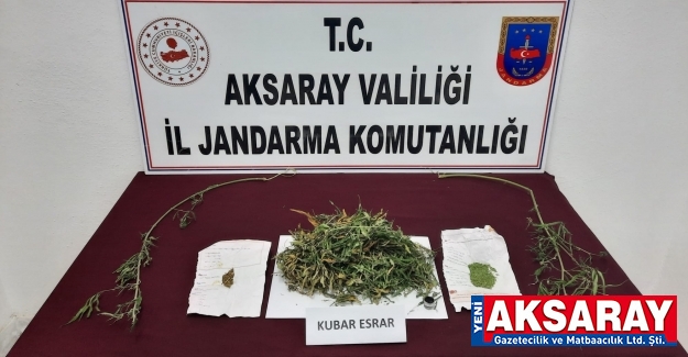 Kubar esrar yakalandı