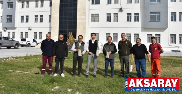 Kuruyan fidanların yerine yenisi dikildi