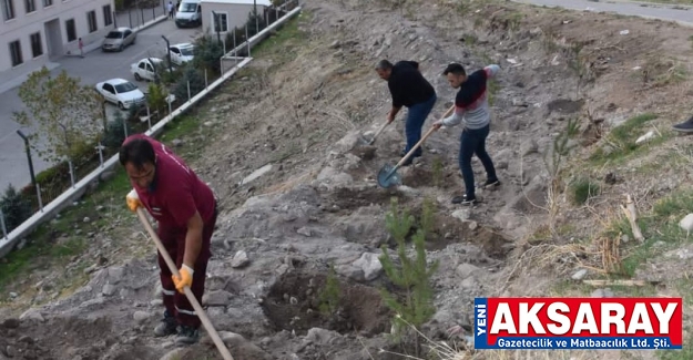 Öğrenci yurtları bahçesinde sosyal ormancılık çalışması