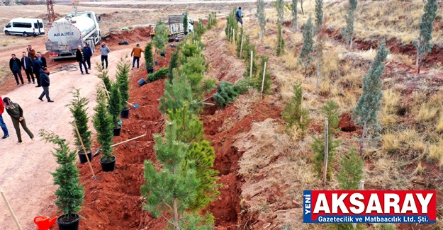 Öğretmenlere özel Hatıra Ormanına fidan dikiliyor