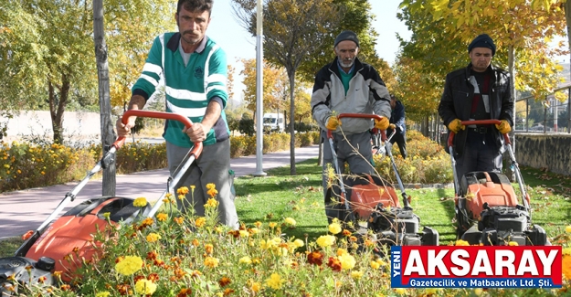 Parklarda sonbahar bakımı