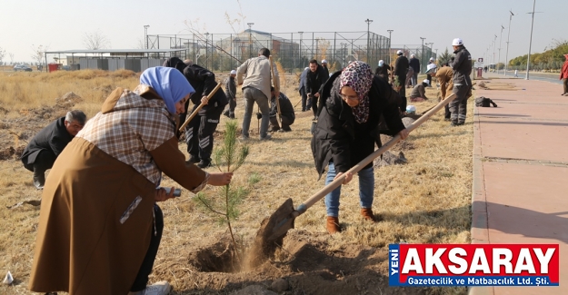 Saat 11.11 de kampüse 435 ağaç dikildi