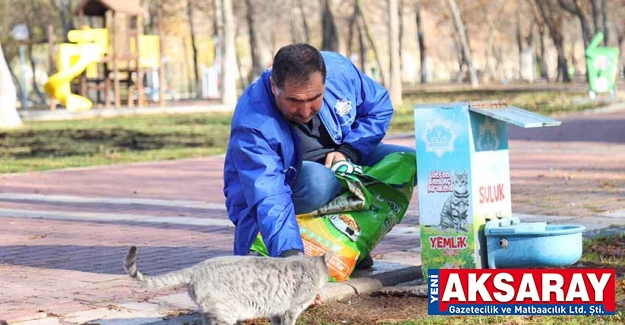 Sokak hayvanlarına yiyecek bırakıldı