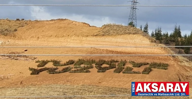 Ağaçlandırmada Türkiye Yüzyılı