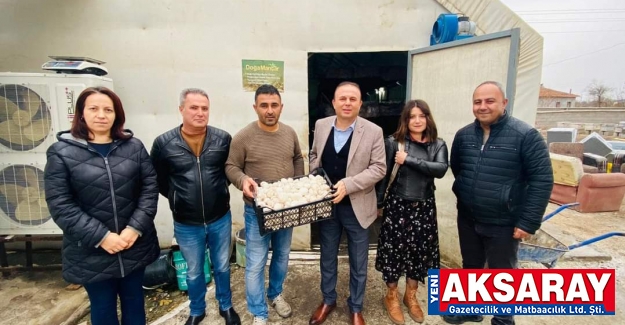 Aksaray’da mantar üretimi doludizgin