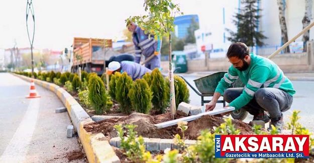 Hedef yeşil Aksaray