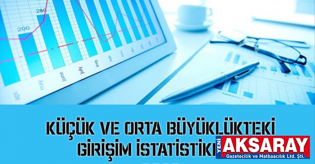 Küçük ve Orta Büyüklükteki Girişim İstatistikleri