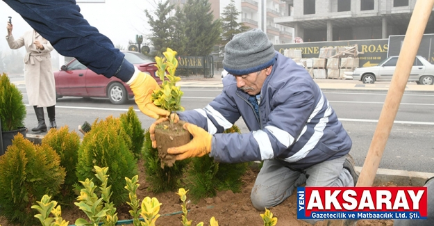 Orta refujlar görsellik kazandı