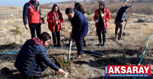 Şiddet gören kadınların adına fidan diktiler