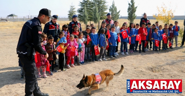 Uygulamalı trafik eğitimi             