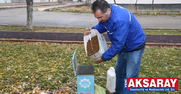 AKSARAY BELEDİYESİ  Sokak hayvanlarının yanındayız