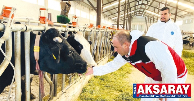 İÇ ANADOLU BÖLGESİNDE BİRİNCİ Hastalıktan Ari İşletme sayısı sıralamasında 3. Olduk