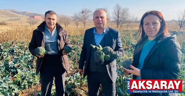 Pazarın brokoli ve karnabaharı Aksaray’dan