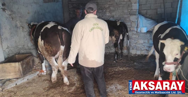 Depremzedelerin hayvanlarının bakımını da üstlendik