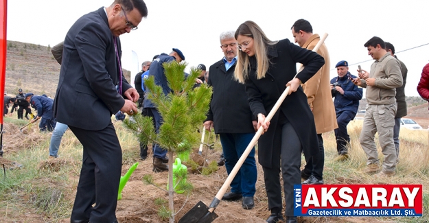 Deprem Şehitleri Hatıra Ormanı oluşturuldu