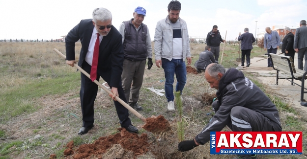 Depremde hayatını kaybeden ASÜ’lüler anısına fidan dikildi