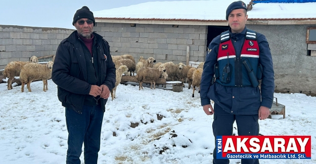 Kaybolan koyunlar bulunarak sahibine teslim edildi